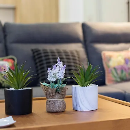 Morenos Centrico Moderno جيريز