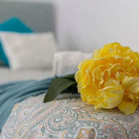 Morenos Centrico Moderno جيريز