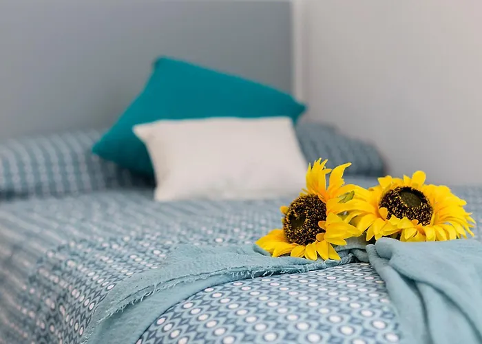 公寓 Morenos Centrico Moderno